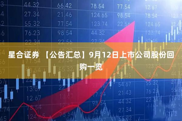 星合证券 【公告汇总】9月12日上市公司股份回购一览