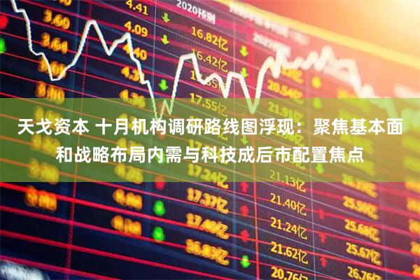 天戈资本 十月机构调研路线图浮现：聚焦基本面和战略布局内需与科技成后市配置焦点